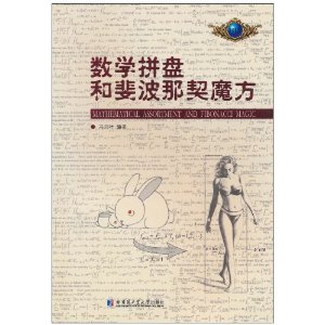 数学拼盘和斐波那契魔方/冯贝叶-图书-亚马逊